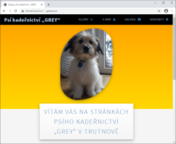 Úvod/Služby