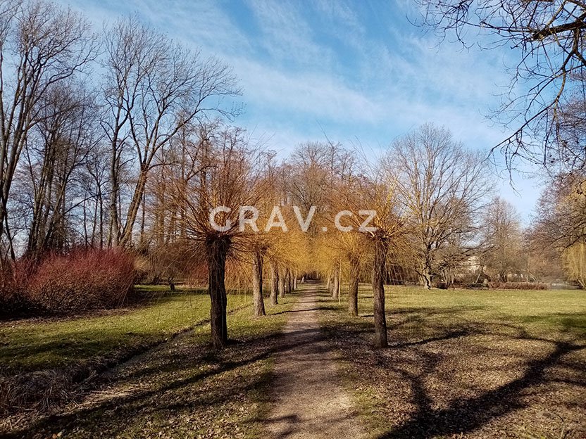 Zámecký park v Častolovicích